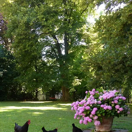 Unter Den Linden Frühstückspension Nördlingen