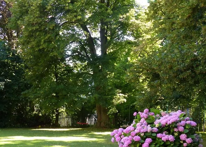 Unter Den Linden לינה וארוחת בוקר נורדלינגן